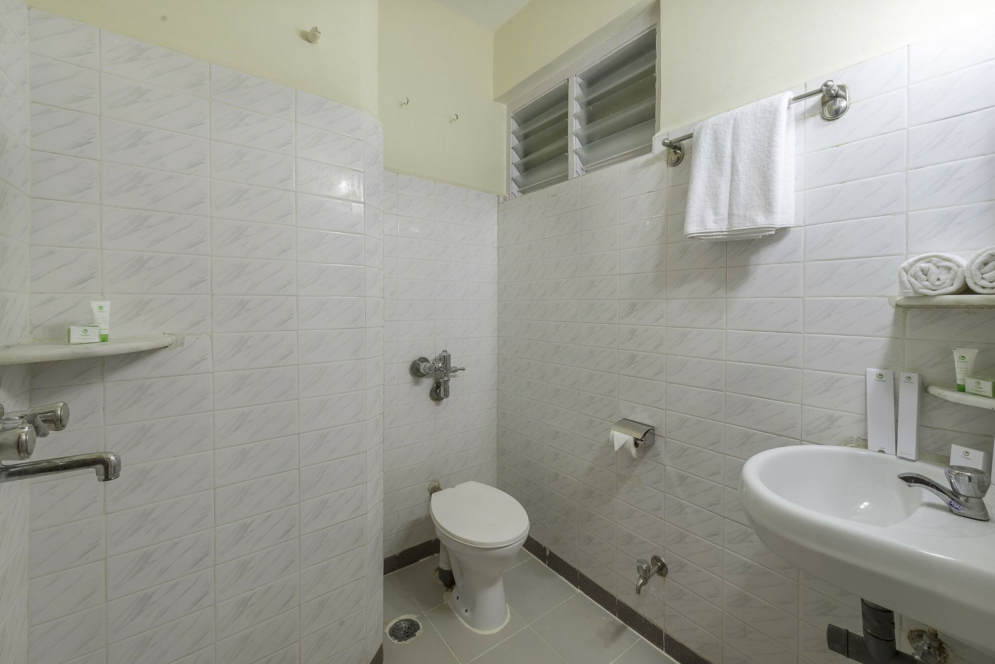 Treebo Park Hotel Mapusa